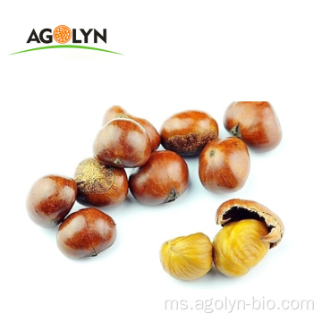 Berkualiti tinggi panggang dikupas chestnuts untuk makanan ringan